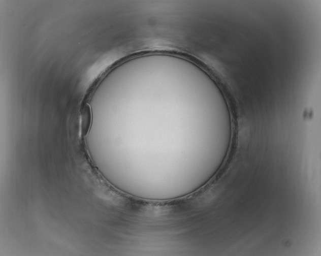 X0000112161269200909041118