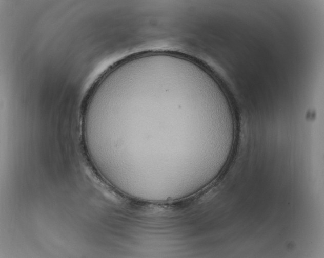 X0000112161270200909041118