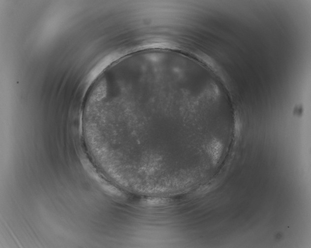 X0000112161274200909041118