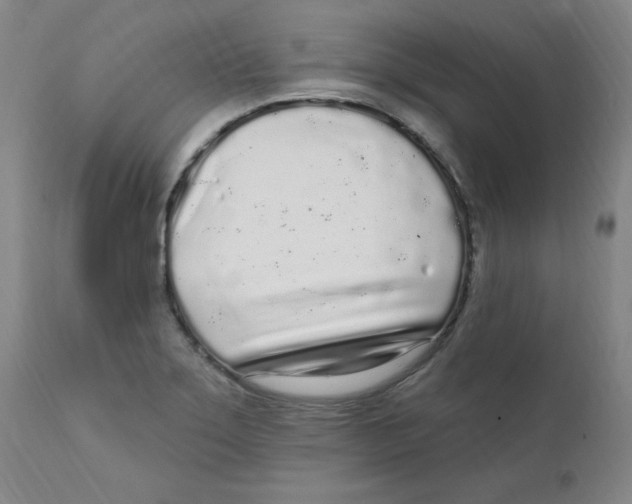 X0000112161275200909041118