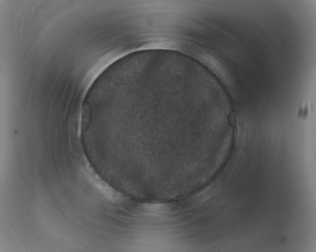 X0000112161276200909041118