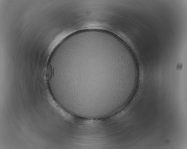X0000112161277200909041118