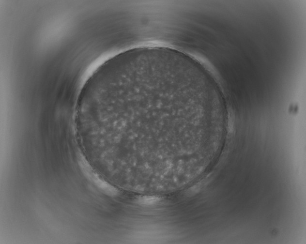 X0000112161278200909041118