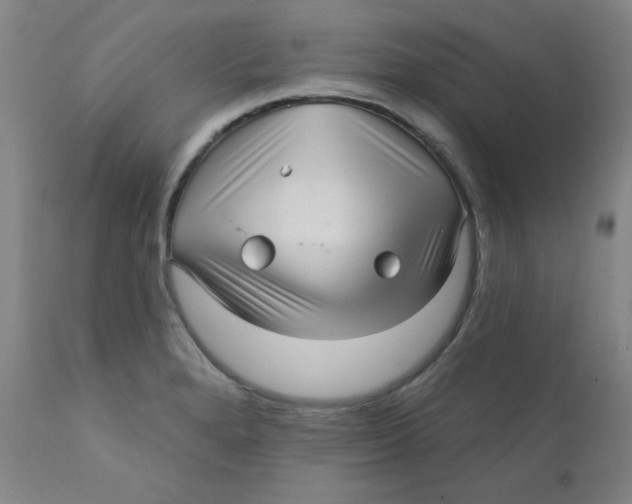 X0000112161280200909041118