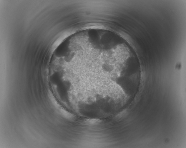 X0000112161282200909041118