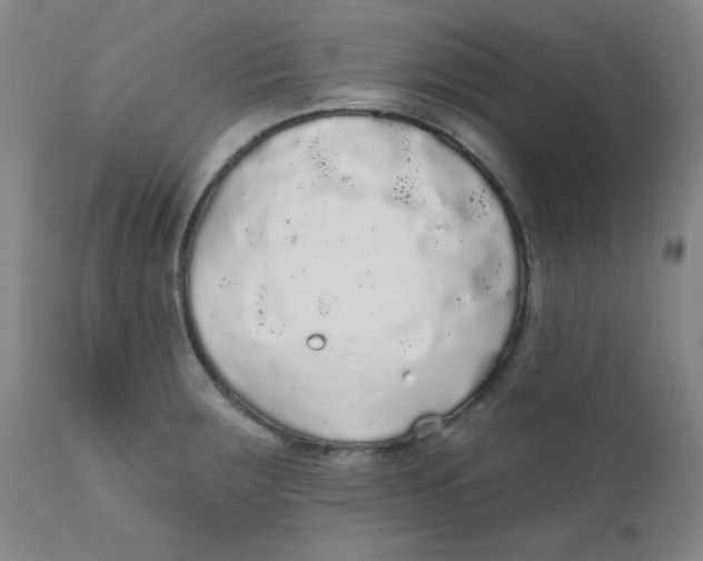 X0000112161283200909041118