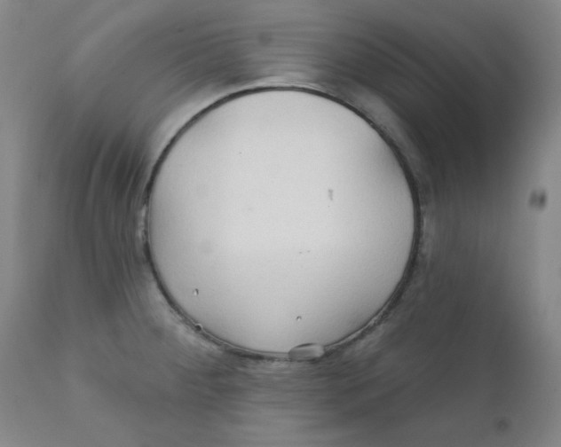 X0000112161284200909041118