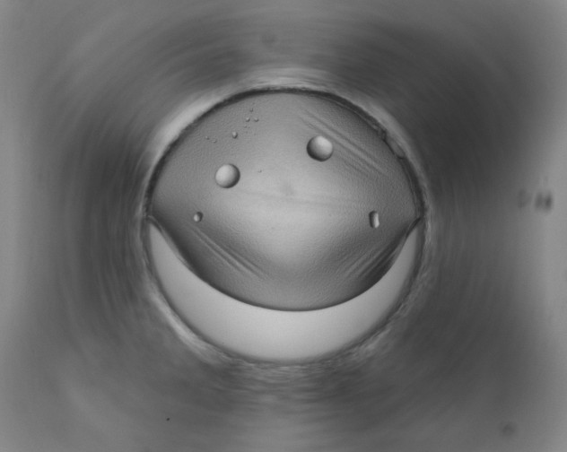 X0000112161285200909041118