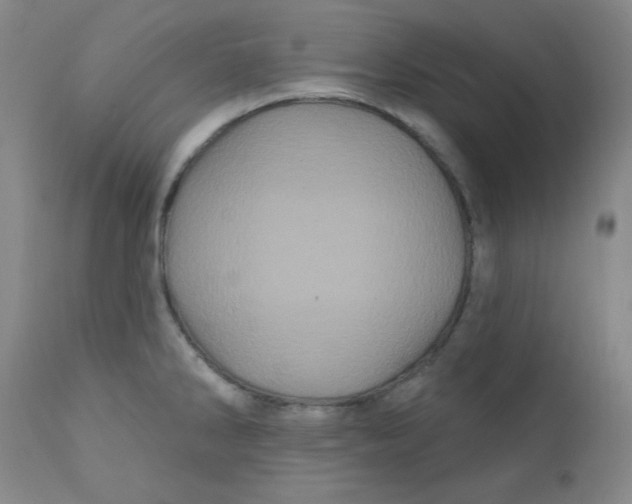 X0000112161286200909041118