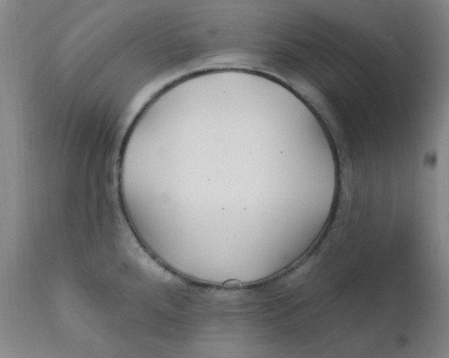 X0000112161288200909041118