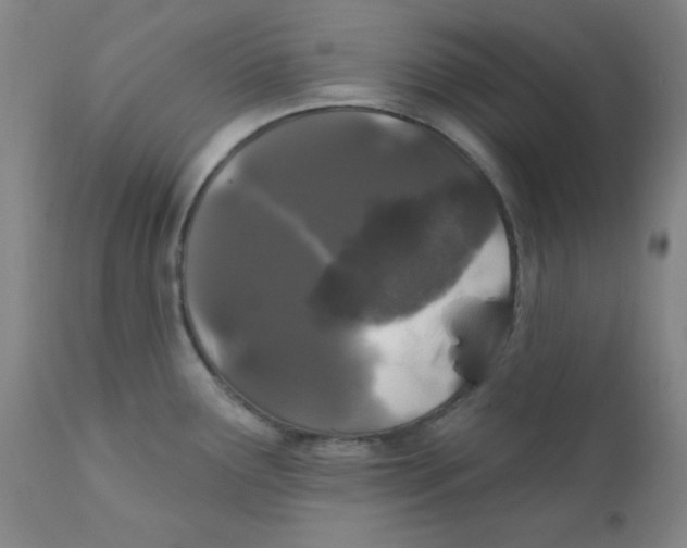 X0000112161291200909041118