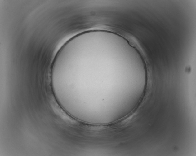 X0000112161292200909041118