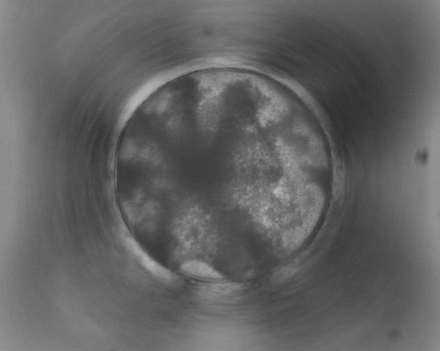 X0000112161294200909041118