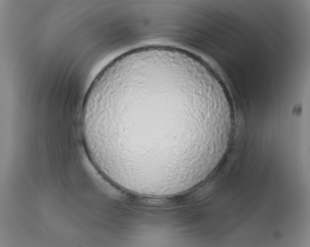 X0000112161295200909041118