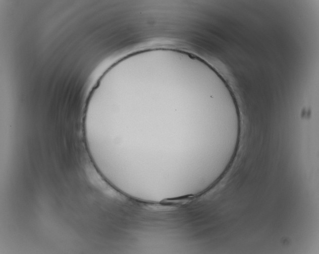X0000112161296200909041118