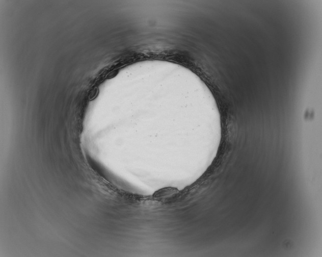 X0000112161297200909041117