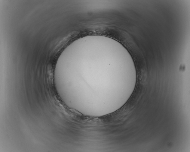 X0000112161298200909041117