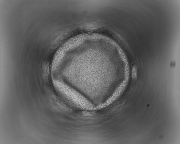 X0000112161299200909041117