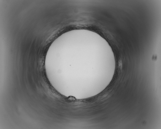 X0000112161300200909041117