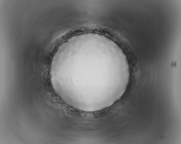 X0000112161302200909041117