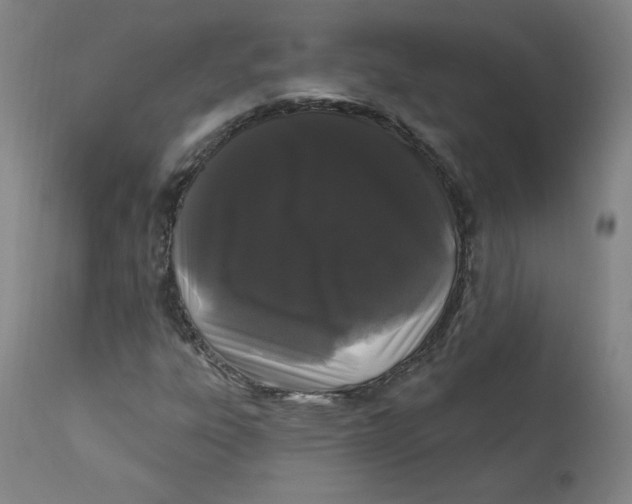 X0000112161303200909041117