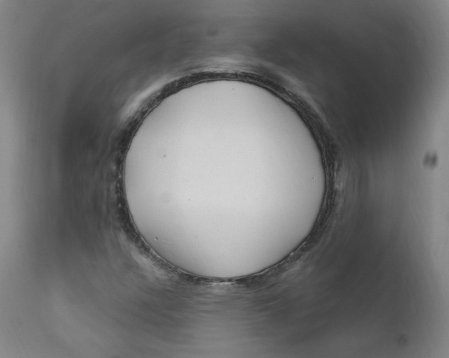 X0000112161304200909041117