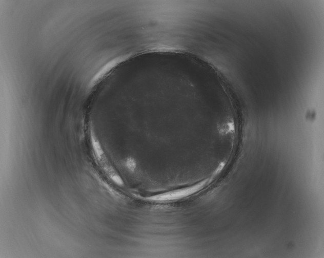 X0000112161306200909041117