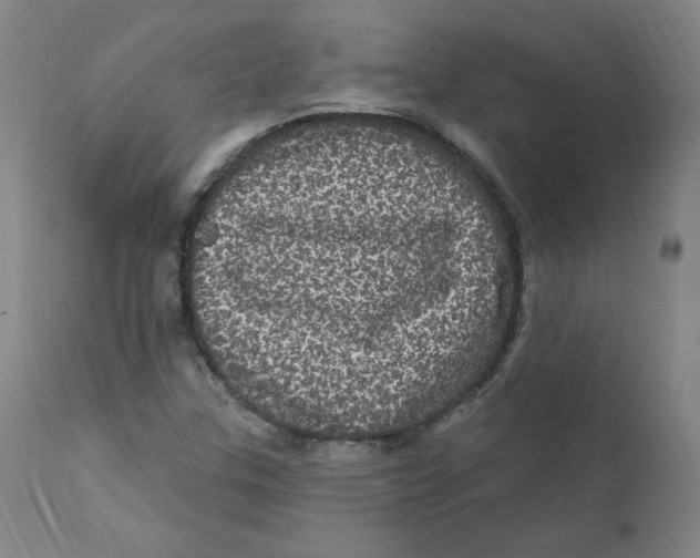 X0000112161307200909041117