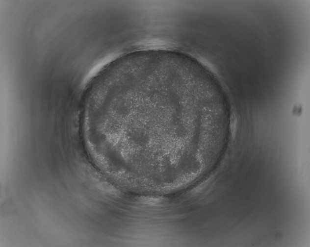 X0000112161309200909041117