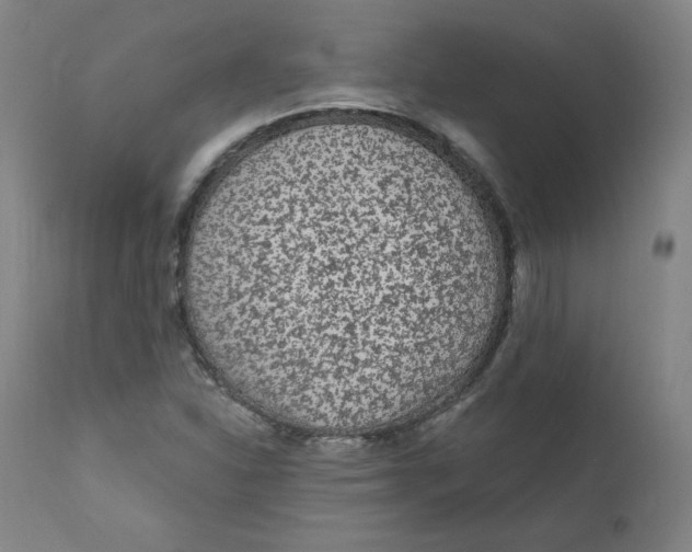 X0000112161310200909041117