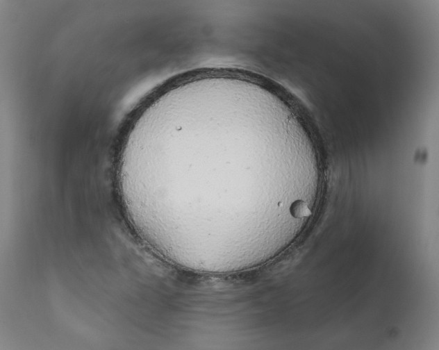 X0000112161311200909041117