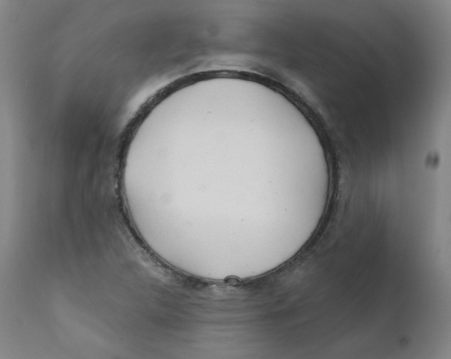 X0000112161312200909041117