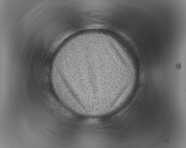 X0000112161313200909041117