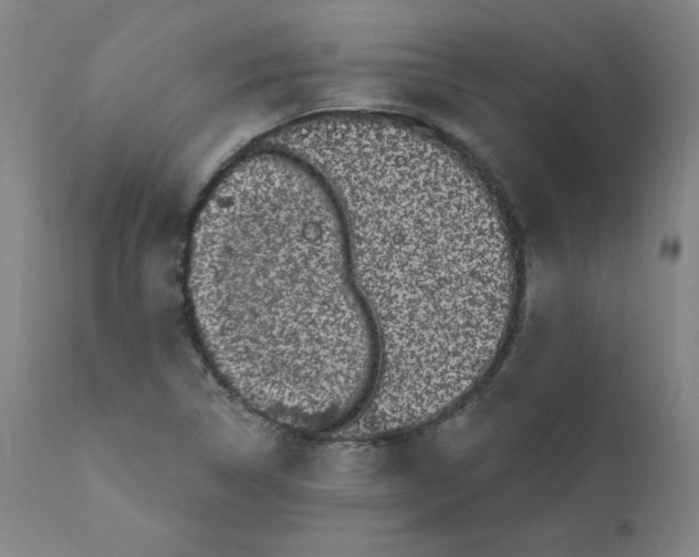 X0000112161314200909041117