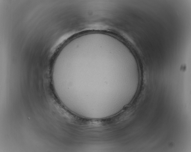 X0000112161315200909041117