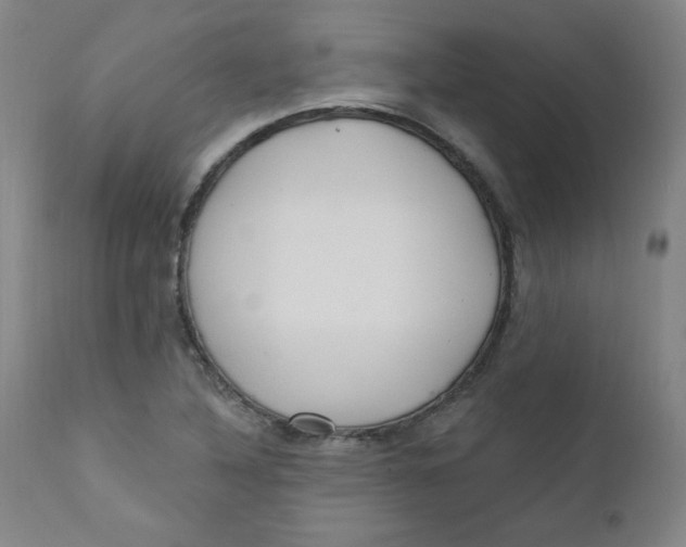X0000112161316200909041117