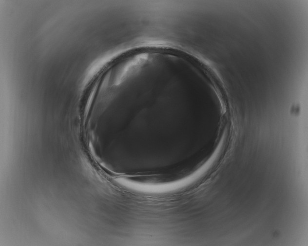X0000112161319200909041117