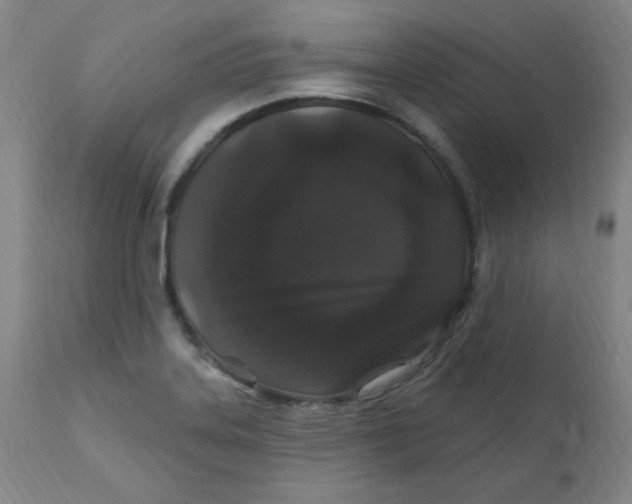 X0000112161323200909041117