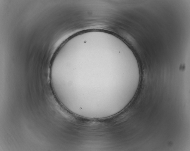 X0000112161324200909041117
