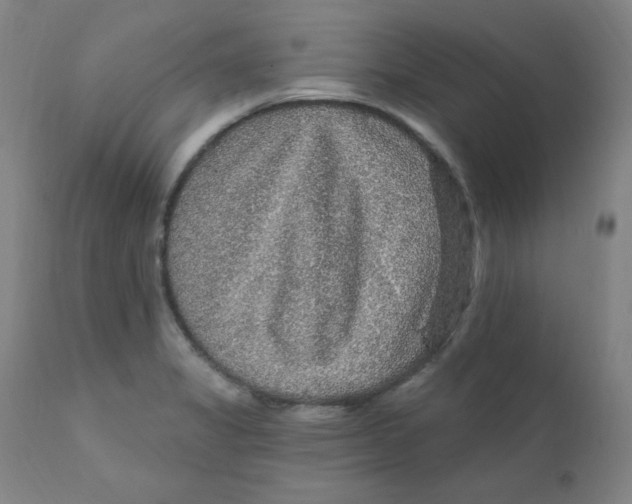 X0000112161325200909041117