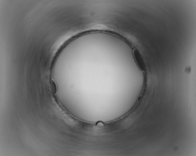 X0000112161326200909041117
