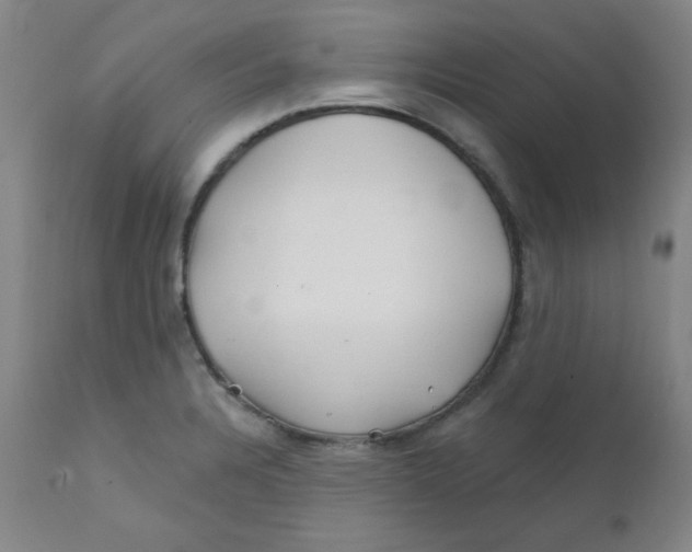 X0000112161328200909041117