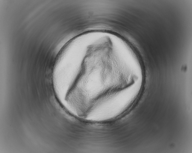 X0000112161329200909041117