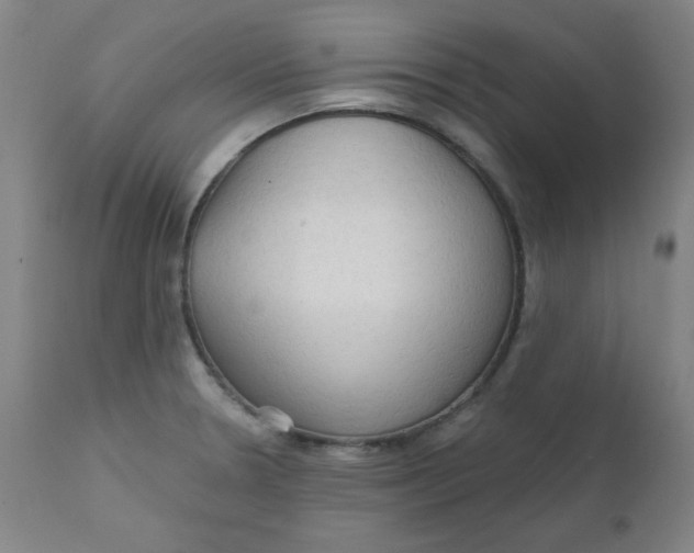 X0000112161330200909041117