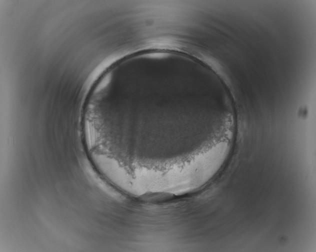 X0000112161331200909041117