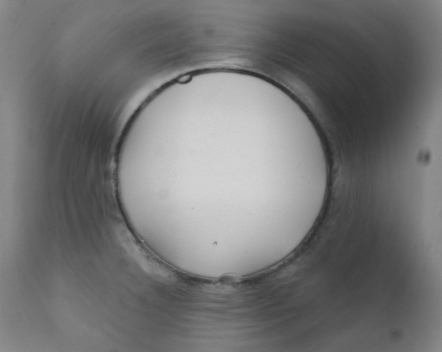 X0000112161332200909041117