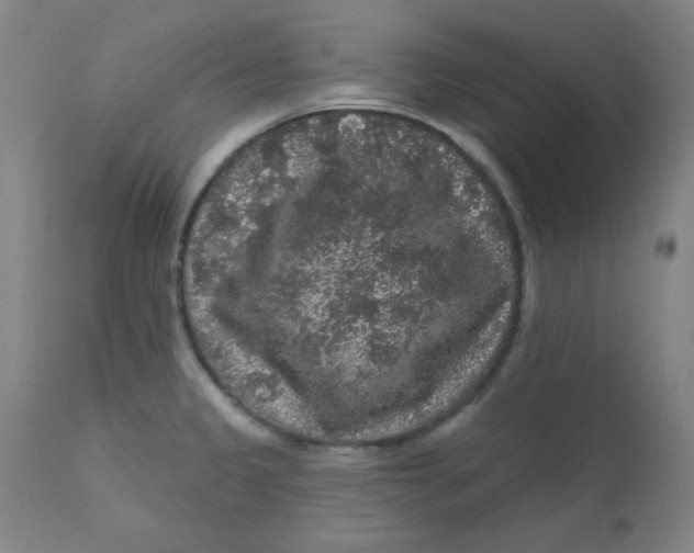 X0000112161333200909041118