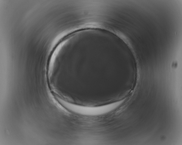 X0000112161334200909041118