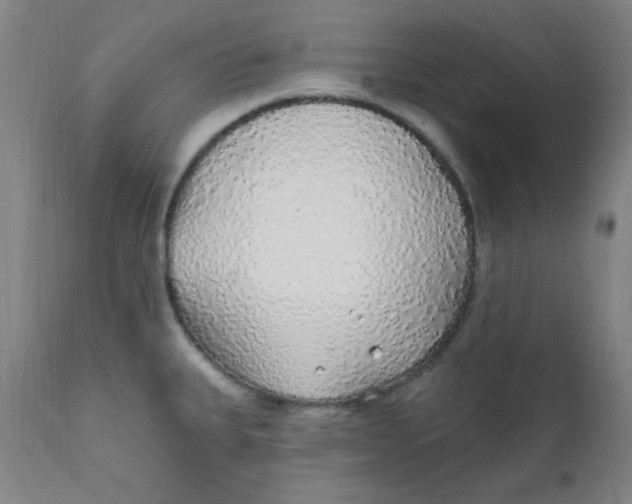 X0000112161335200909041118