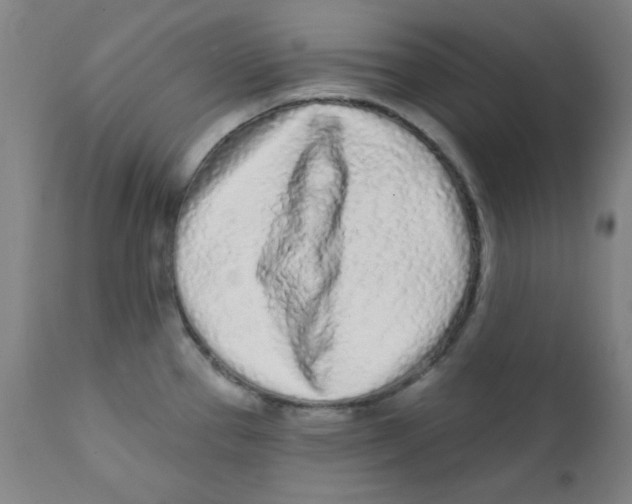 X0000112161337200909041118